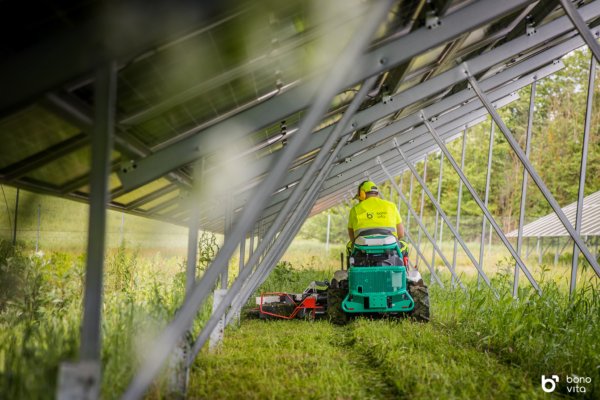 OREC zoliapjovės saules elektrinems (11)