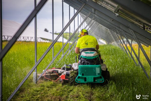 OREC zoliapjovės saules elektrinems (3)