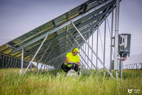 OREC zoliapjovės saules elektrinems (4)